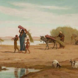 Getting in the Sugar Cane, River Nile